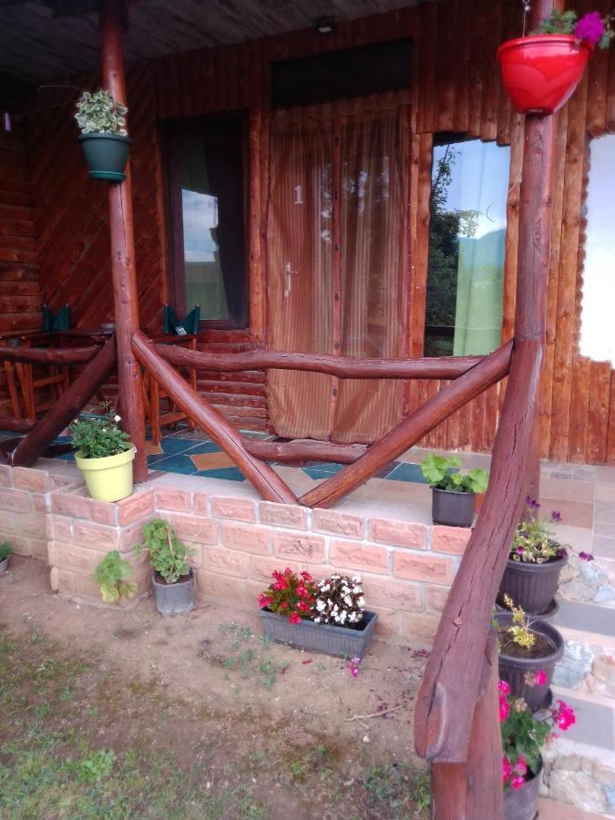 Apartamento Hacijenda Gane Soko Banja Exterior foto