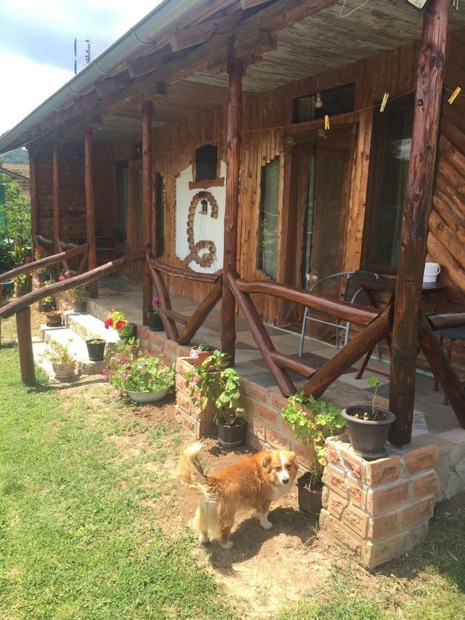 Apartamento Hacijenda Gane Soko Banja Exterior foto